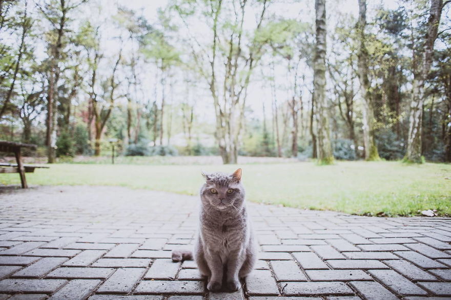 Meet All The Pets I Met While Living With Other People During A Year Meet All The Pets I Met While Living With Other People During A Year