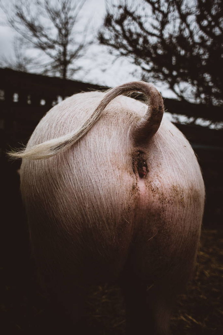 Meet All The Pets I Met While Living With Other People During A Year Meet All The Pets I Met While Living With Other People During A Year