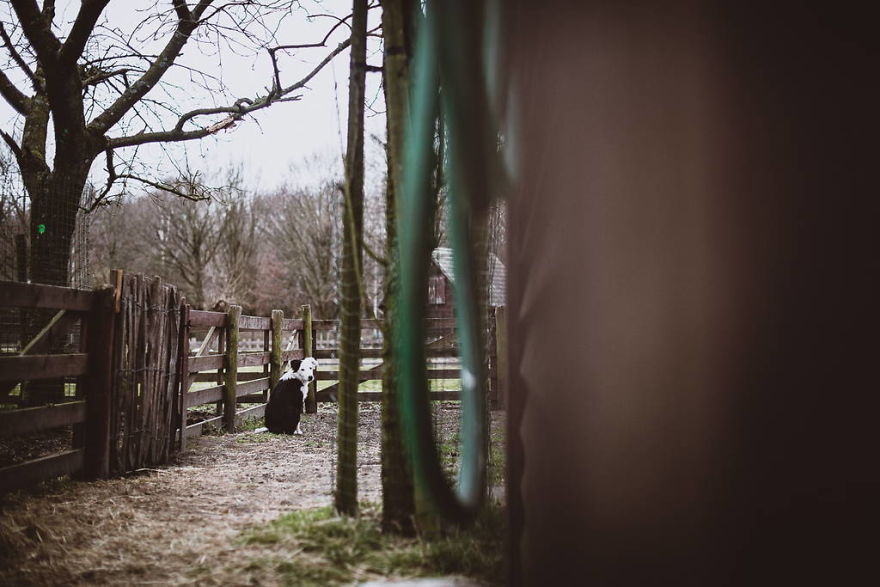 Meet All The Pets I Met While Living With Other People During A Year Meet All The Pets I Met While Living With Other People During A Year