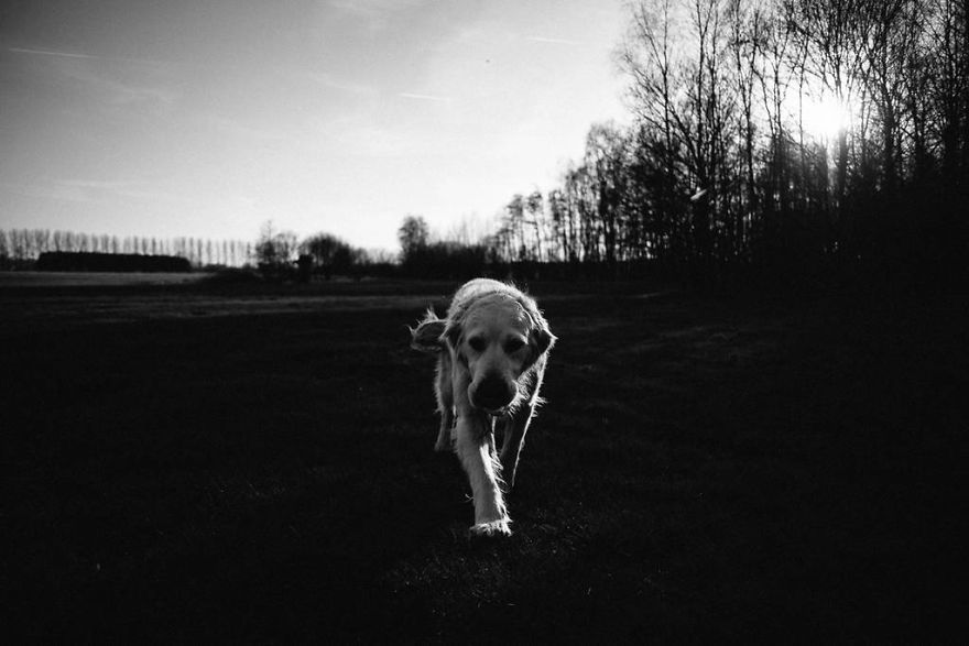 Meet All The Pets I Met While Living With Other People During A Year Meet All The Pets I Met While Living With Other People During A Year