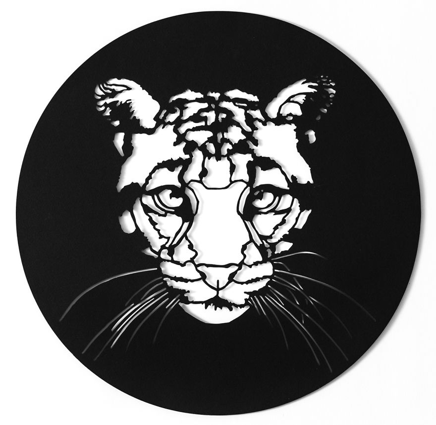 Formosan Clouded Leopard (Extinct)