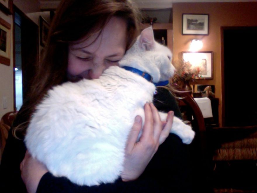 My Family And I Were Adopting Rescued Pets Since 2009 And This Is What We Got