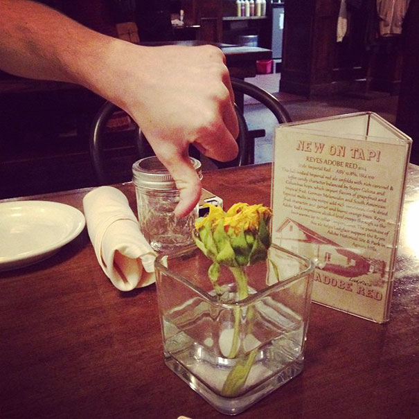 This Sad, Sad Flower Has Seen Better Days