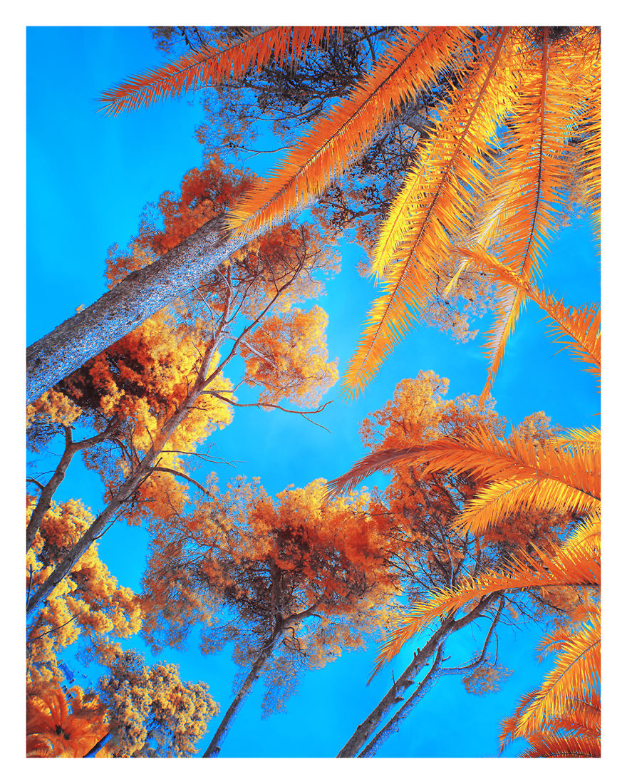 Seeing Barcelona In My Ultracolour Lens