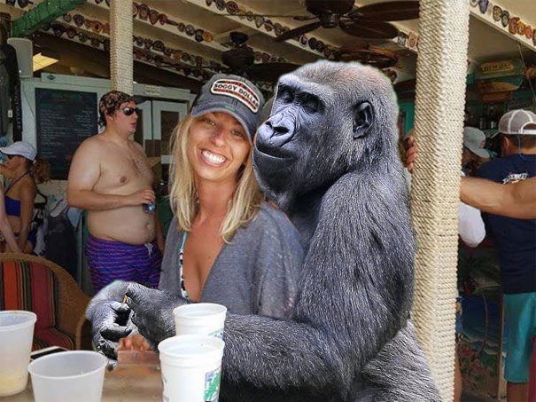 Gorilla Couple