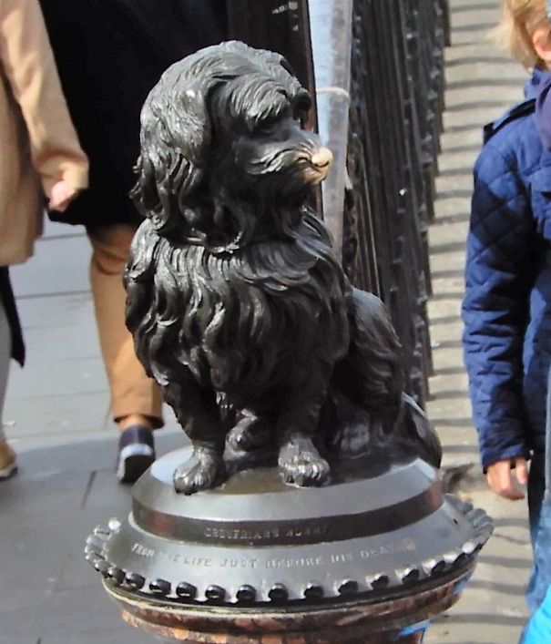 Greyfriars-Bobby-594aa2198e480.jpg