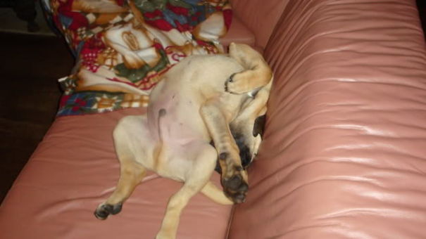 Bought At Ikea, Took Some Time To Put Him Together