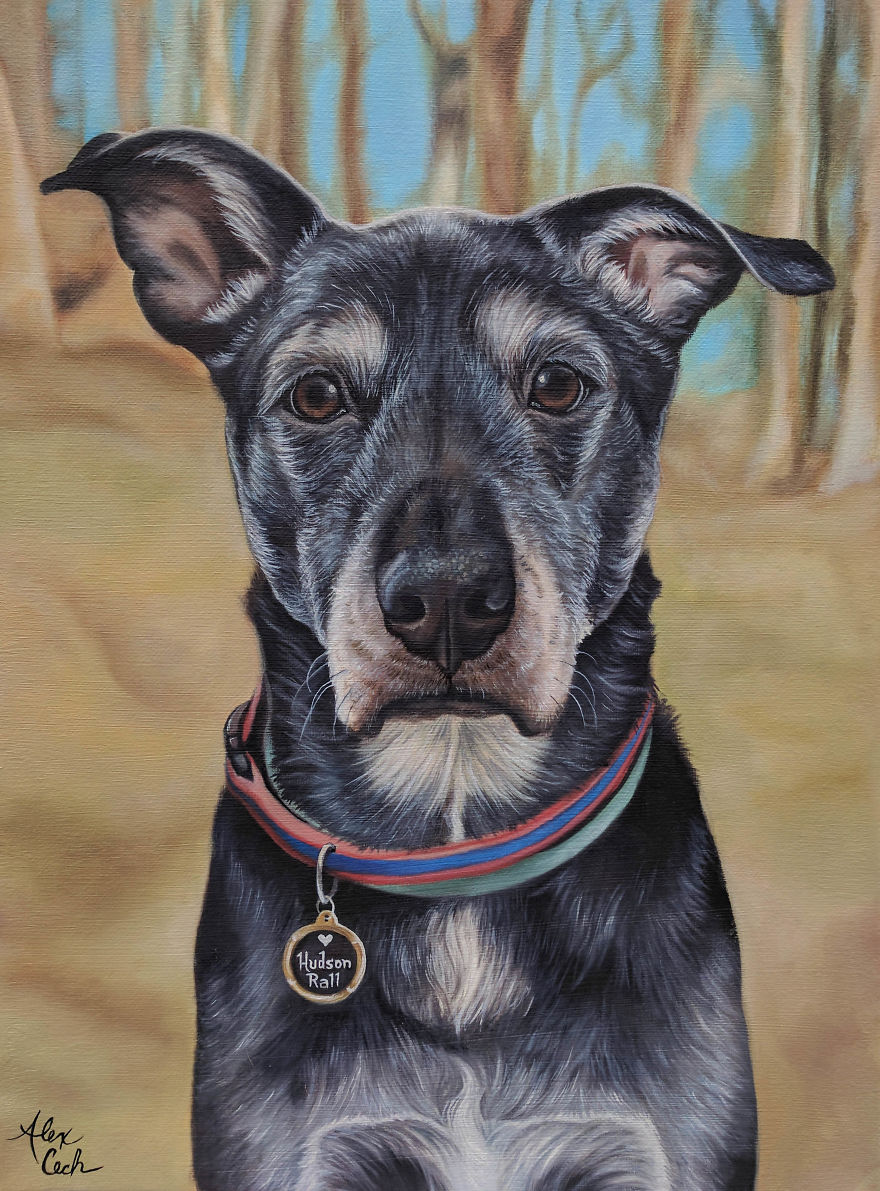 I Create Custom Paintings Of People's Pets I Create Custom Paintings Of People's Pets