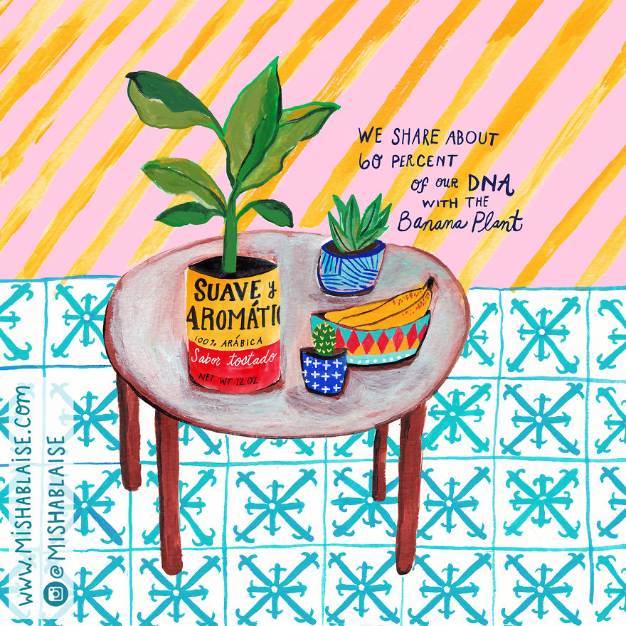 I Illustrated Some Of The Freaking Amazing Ways We Are Always Connected To The Universe And All Life On Earth