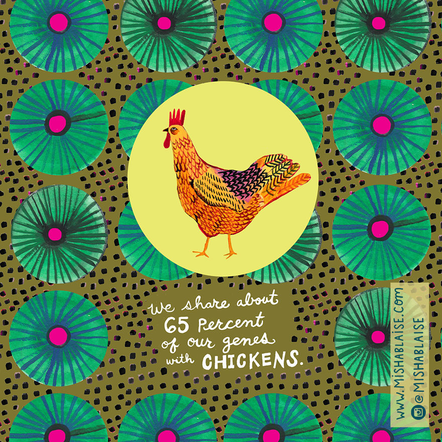 I Illustrated Some Of The Freaking Amazing Ways We Are Always Connected To The Universe And All Life On Earth