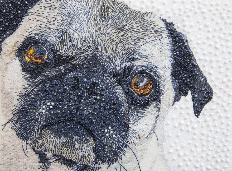 These Animal Portraits Are Not What They Look Like