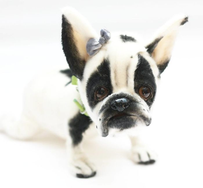 I Create Unique And Completely Handmade Ooak Dogs