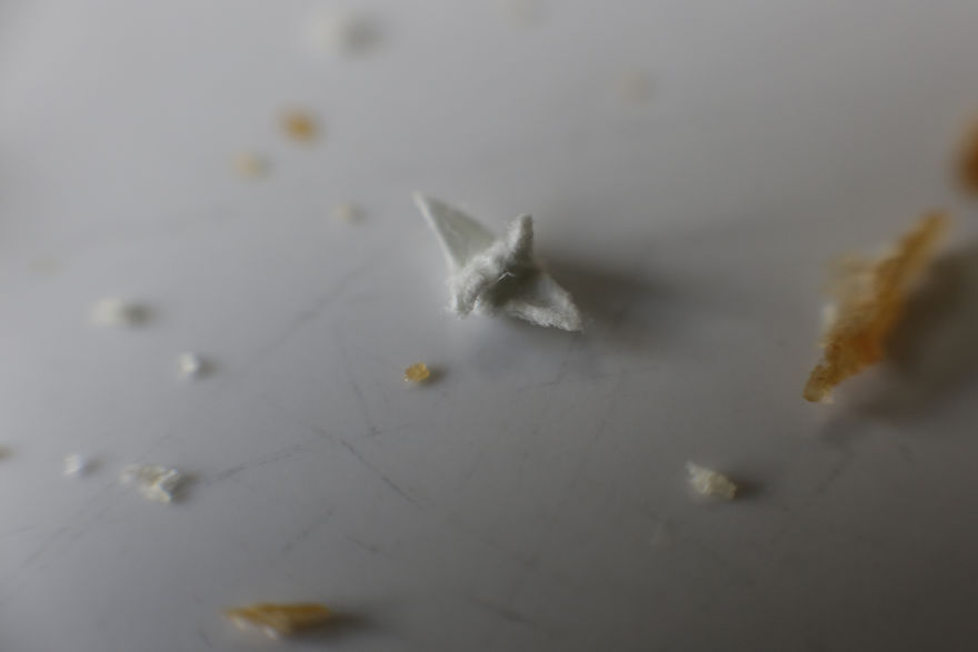 I Make Incredibly Tiny Origami Cranes That Take Me Around 45 Minutes Each I Make Incredibly Tiny Origami Cranes That Take Me Around 45 Minutes Each