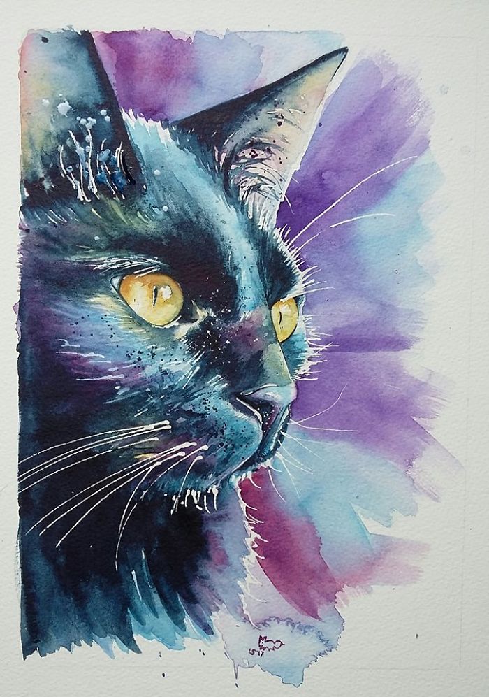 I Take Black Cats And Make Them Magical