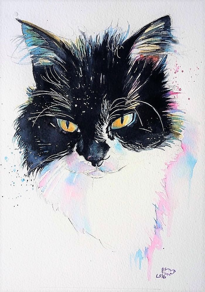 I Take Black Cats And Make Them Magical I Take Black Cats And Make Them Magical