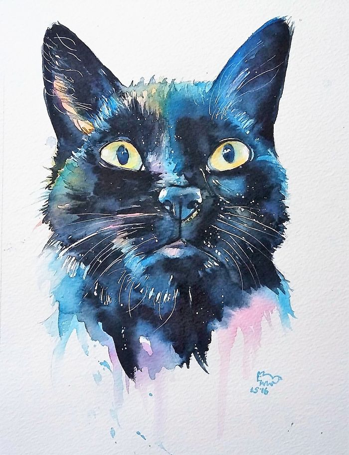 I Take Black Cats And Make Them Magical