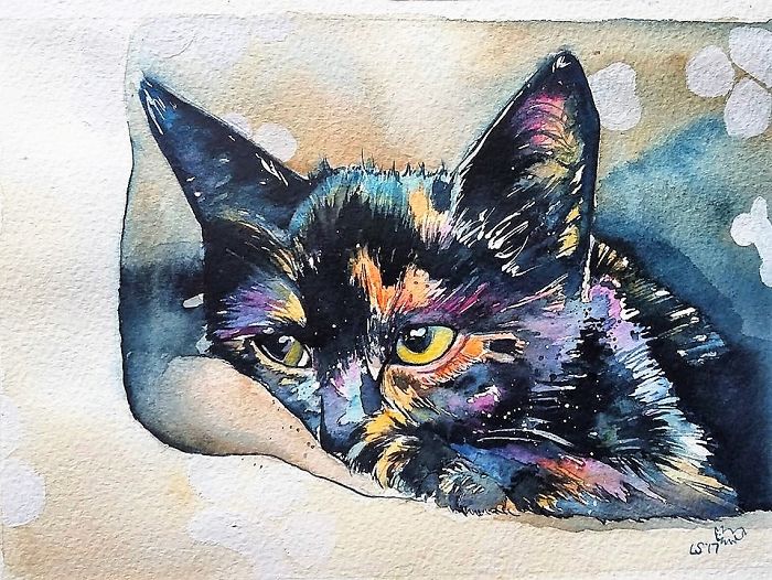 I Take Black Cats And Make Them Magical