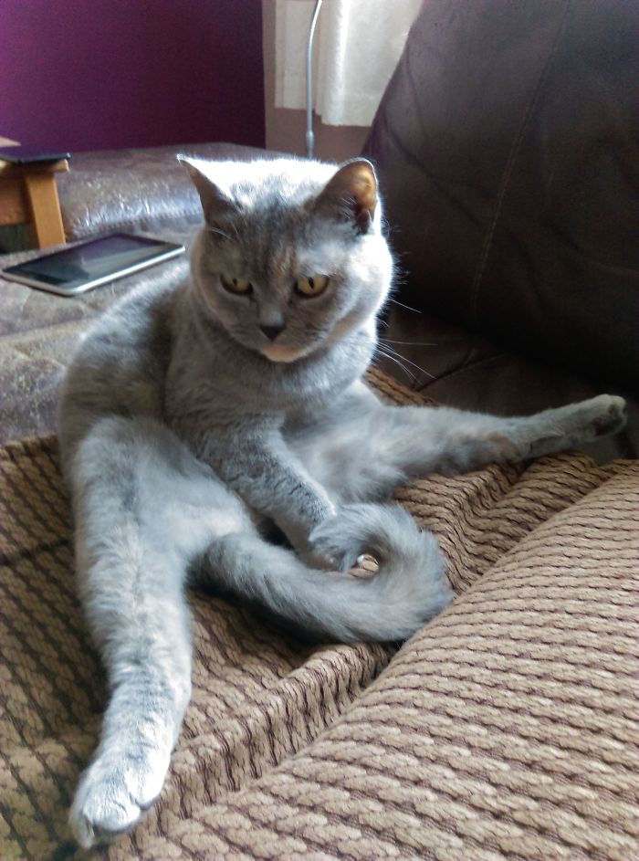 Yoshimi Likes To Start Her Mornings With Gentle Yoga