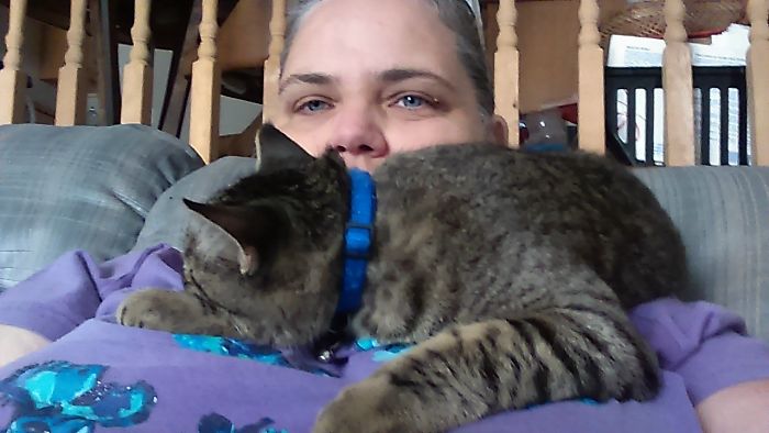 My Cat Max, Had Fallen Asleep Behind Me, And Just Kept Moving Around My Neck To The Front Of My Chest.