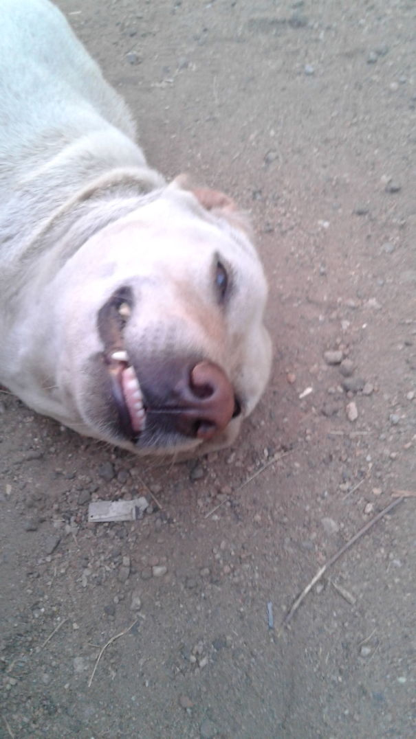 Isn't He Handsome????