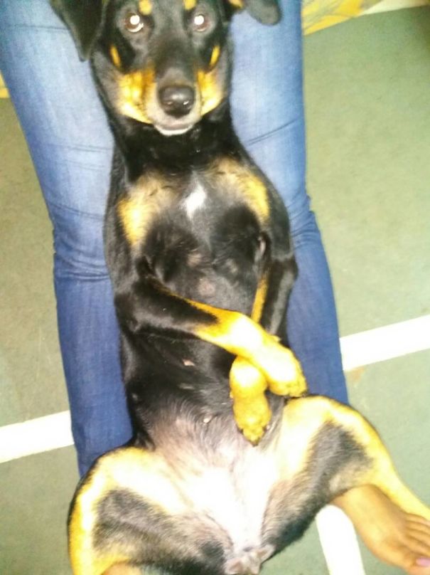 Lexie's Time To Relax And Watch Movie.