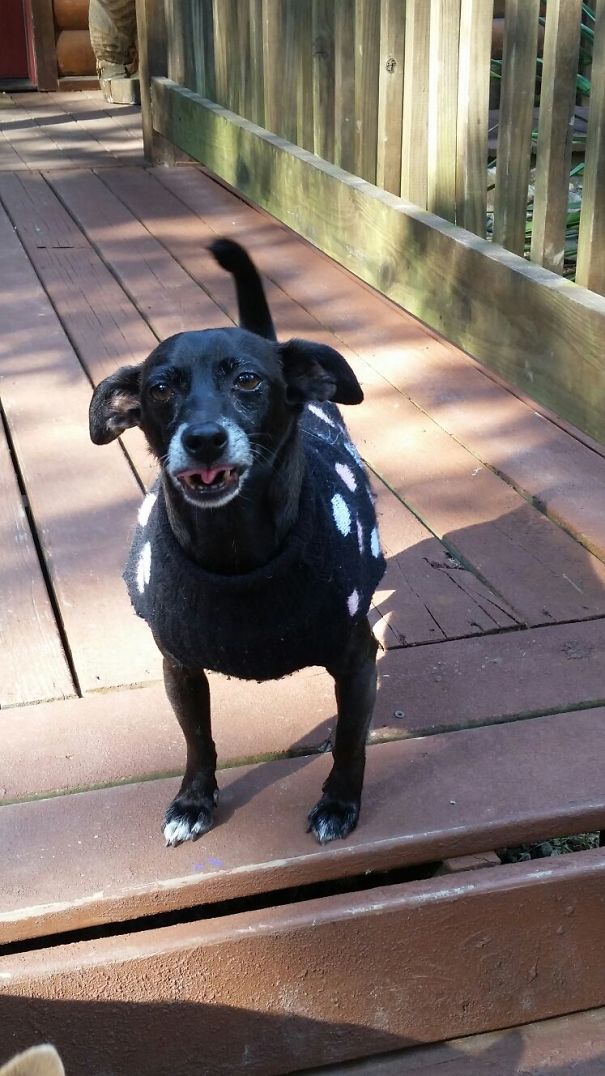 Tater Doesn't Like Pictures