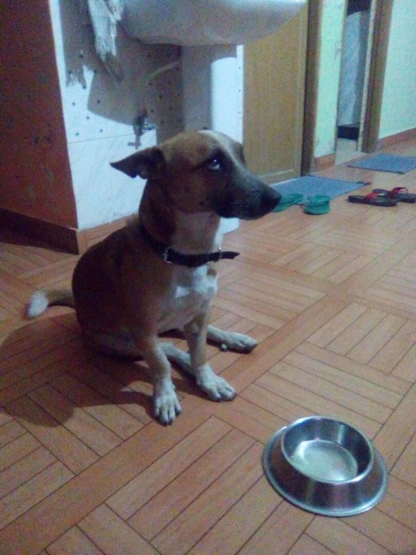 When He Does Something Wrong. That Face