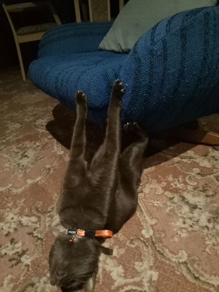 This Is Hamish. Don't Be Like Hamish.