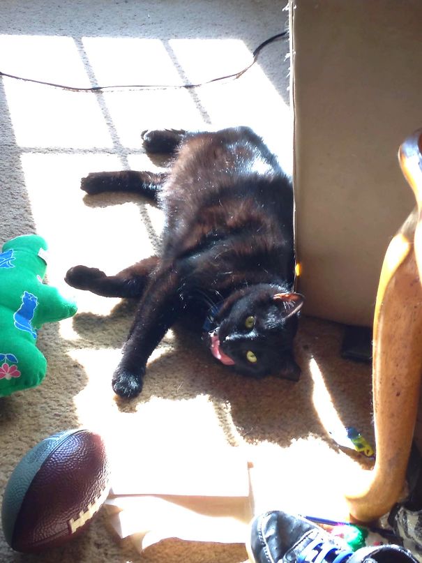 My Gentle Giant Seductively Catching Some Rays!