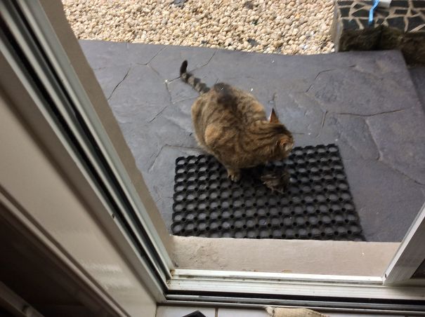 Couldn't Look Me In The Eye.