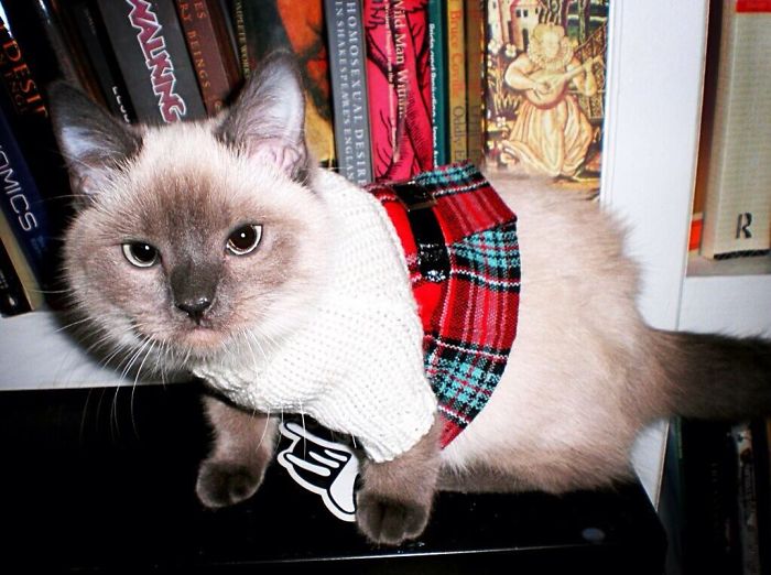 Violet Is Hitting The Books After Her First Day Of School