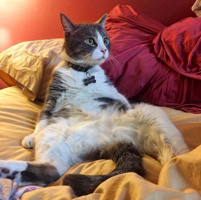 Well, He Is The Man Of The House...