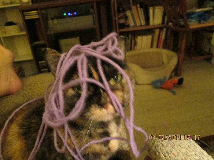 Metallica Helping Mom Crochet.