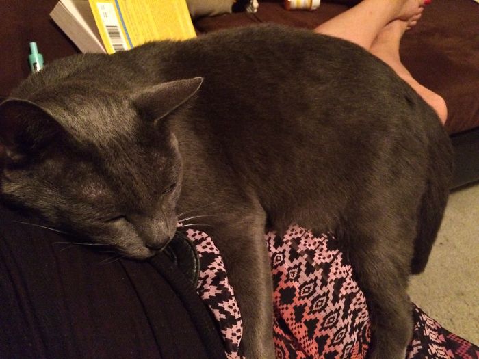 Buddy After I Got Home From Work...he Missed Me!!