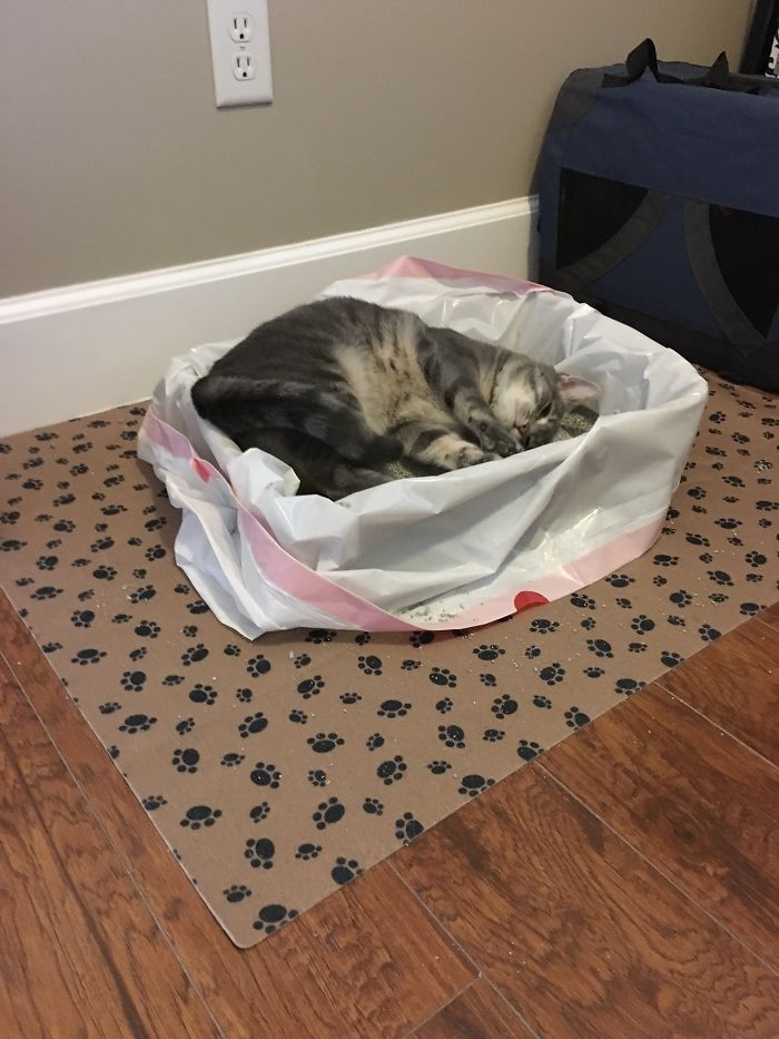 My Mom Found Her Like This One Afternoon.