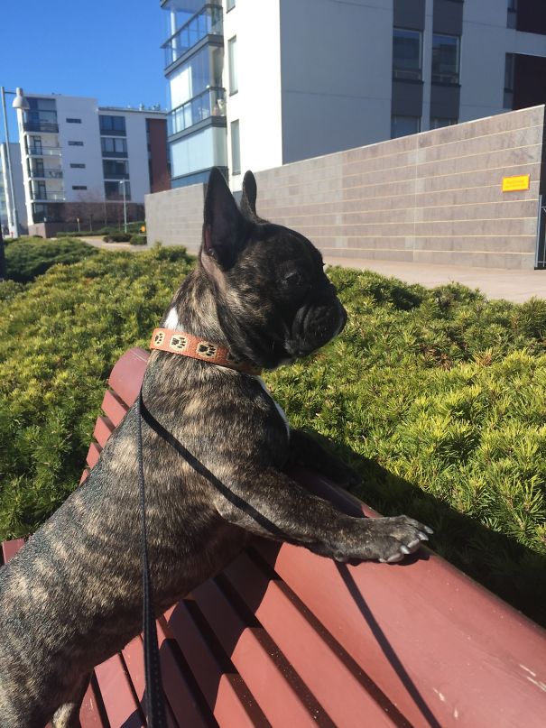 Watching Who's Passing By..