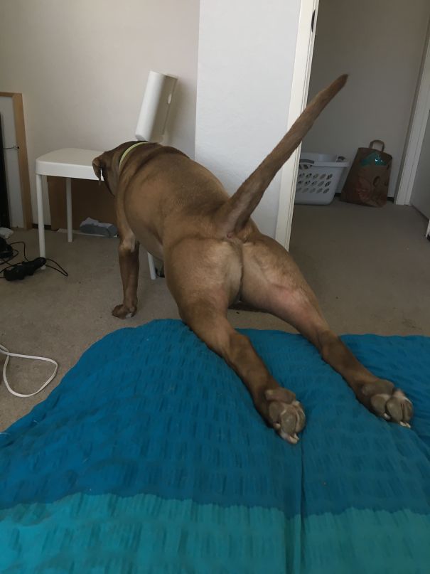 Just Getting Out Of Bed