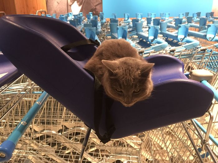 He Just Hangs Out Pretending To Be A Baby; It's Not His Home...