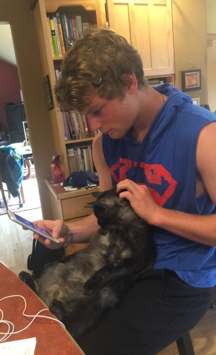 Guinness Likes Belly Rubs And Probably Thinks He's A Lap Dog