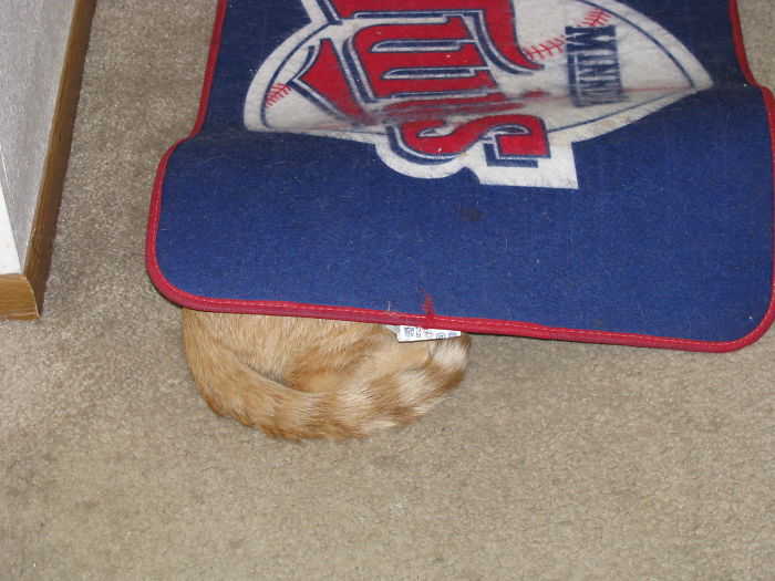 The Reason We Had To Move The Door Mat Away From The Door.