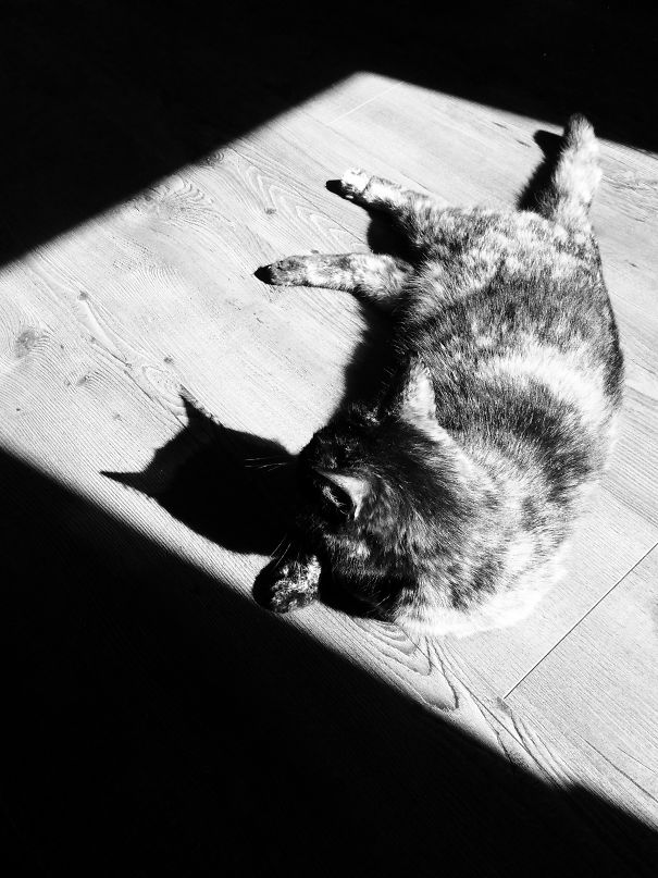 The Best Thing Under The Sun...