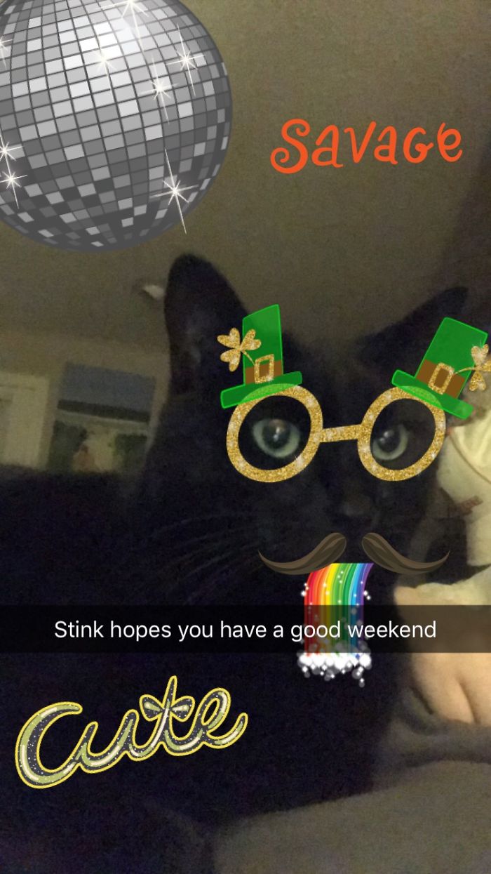 Stink Got Kinda Turnt On St. Paddy's Day