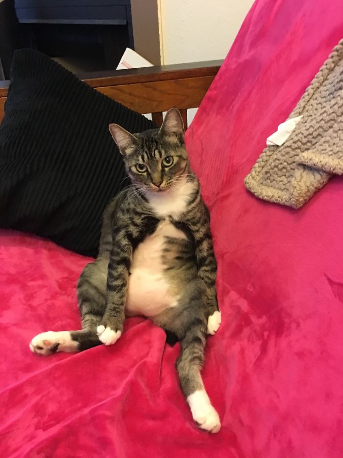 I'm Pretty Sure She's Judging Me...