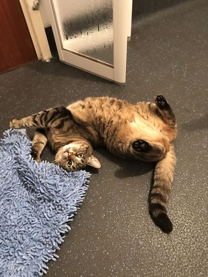 I Knew That Bath Mat Was Evil, Thanks For Killing It