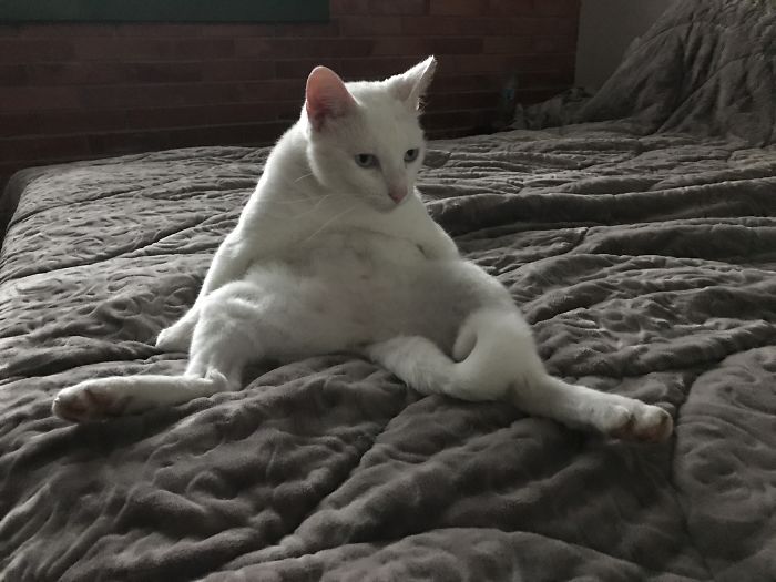 This Is Johnson Having A Seat