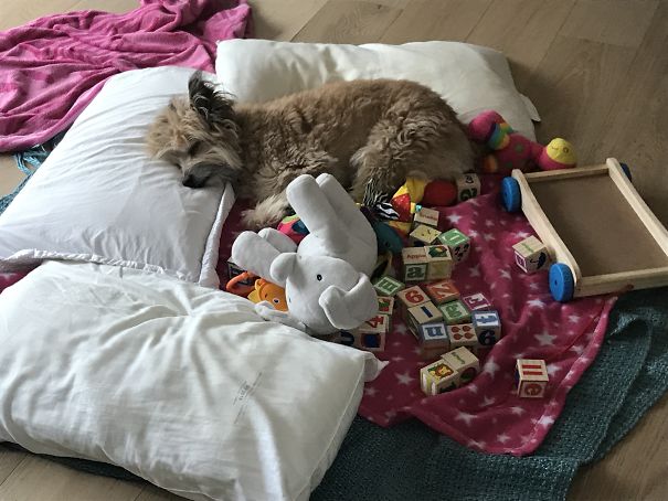 I'll Just Rest Here A Moment While The Baby Is Busy...