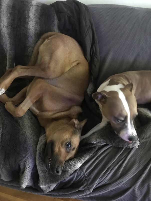 Silly Kirby Founding A Confortable Position 😂