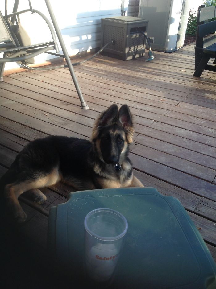 6 Weeks, And 6 Months