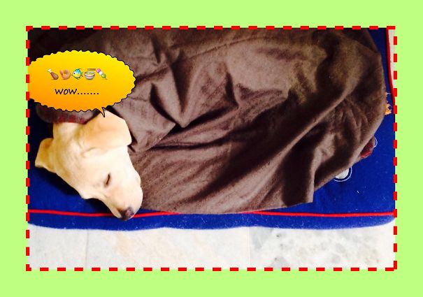 My Baby Sasha Fast Asleep On A Cold Winter.