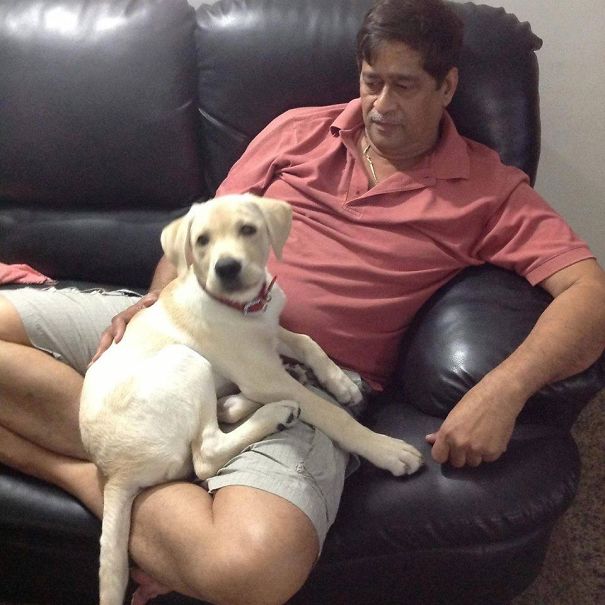 My Baby Sasha Loves To Sit In My Lap.